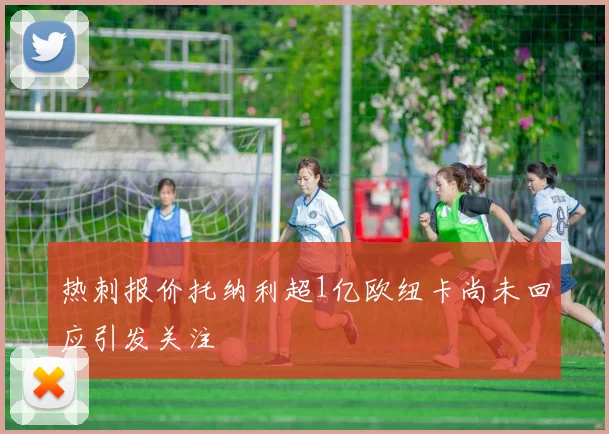 热刺报价托纳利超1亿欧纽卡尚未回应引发关注