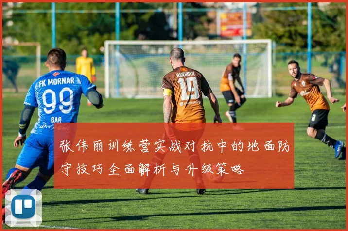 张伟丽训练营实战对抗中的地面防守技巧全面解析与升级策略